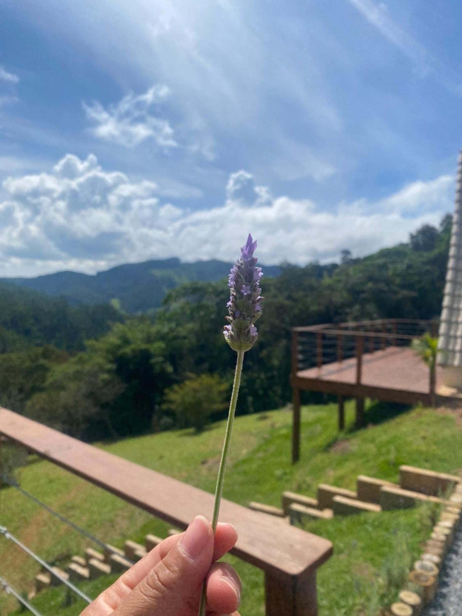 Chales Fazenda Floresta Das Araucarias 库尼亚 外观 照片