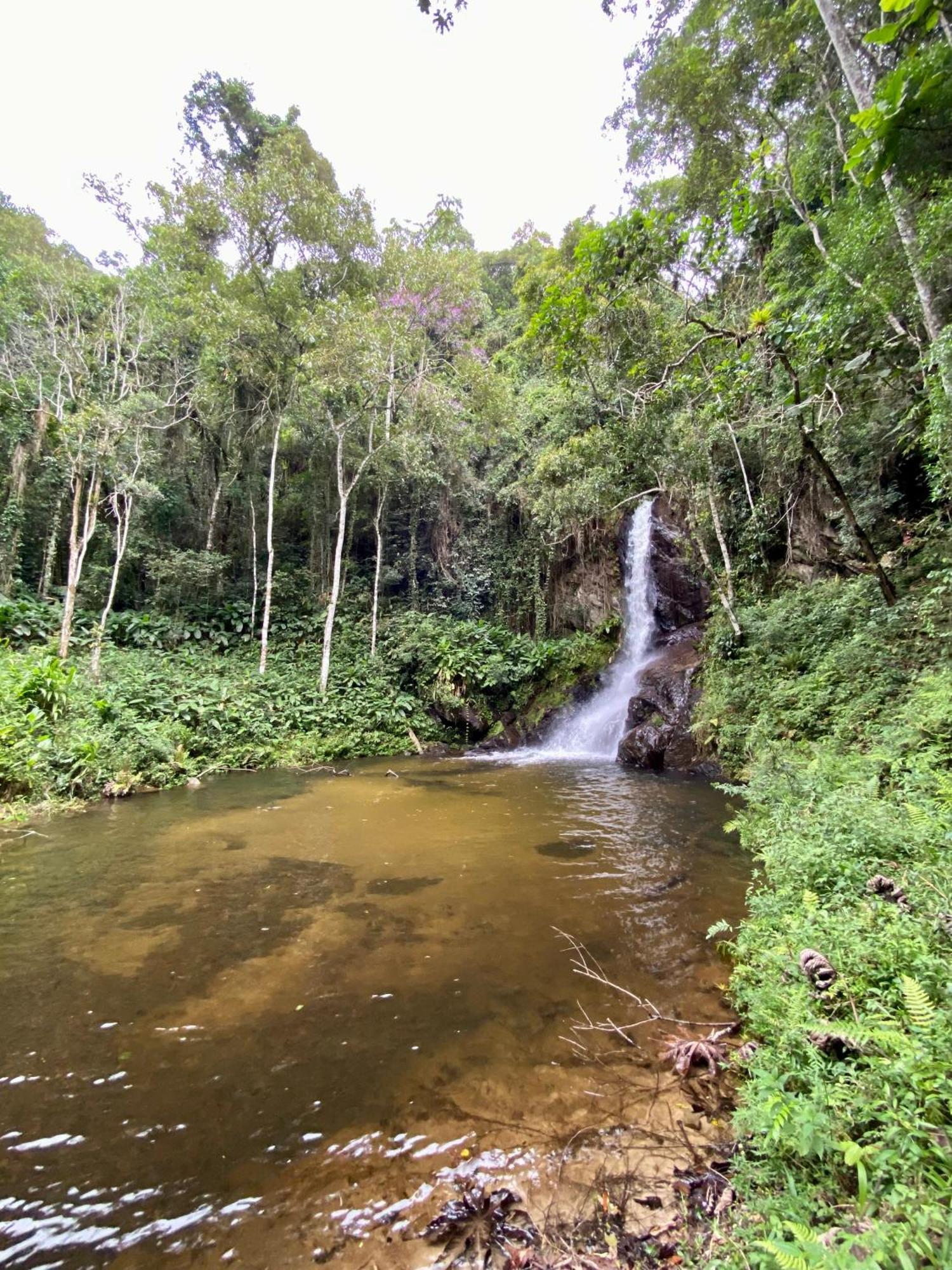 Chales Fazenda Floresta Das Araucarias 库尼亚 外观 照片