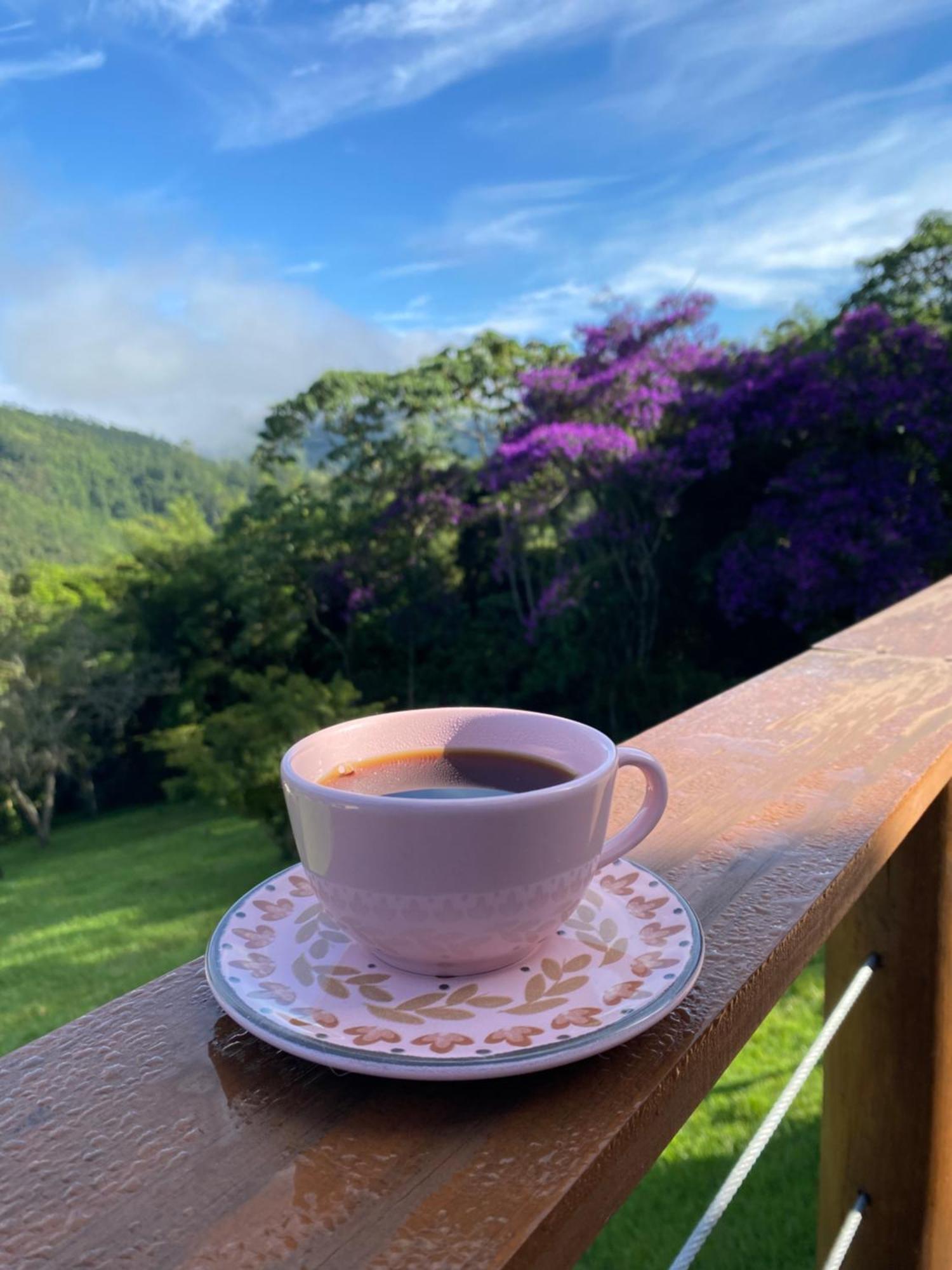 Chales Fazenda Floresta Das Araucarias 库尼亚 外观 照片