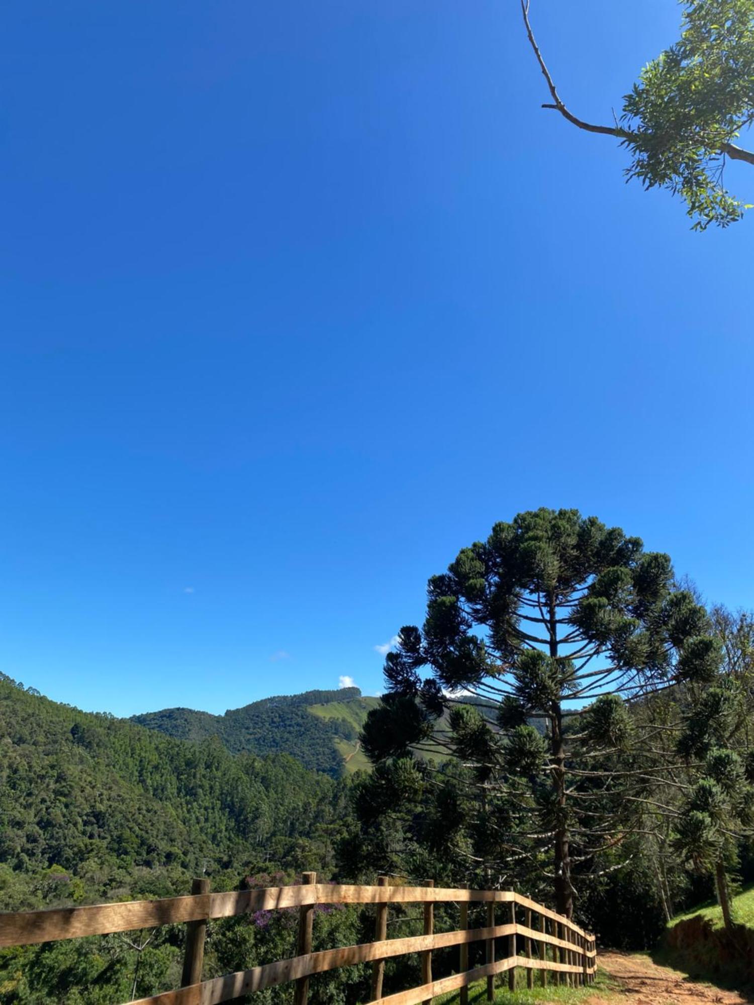 Chales Fazenda Floresta Das Araucarias 库尼亚 外观 照片