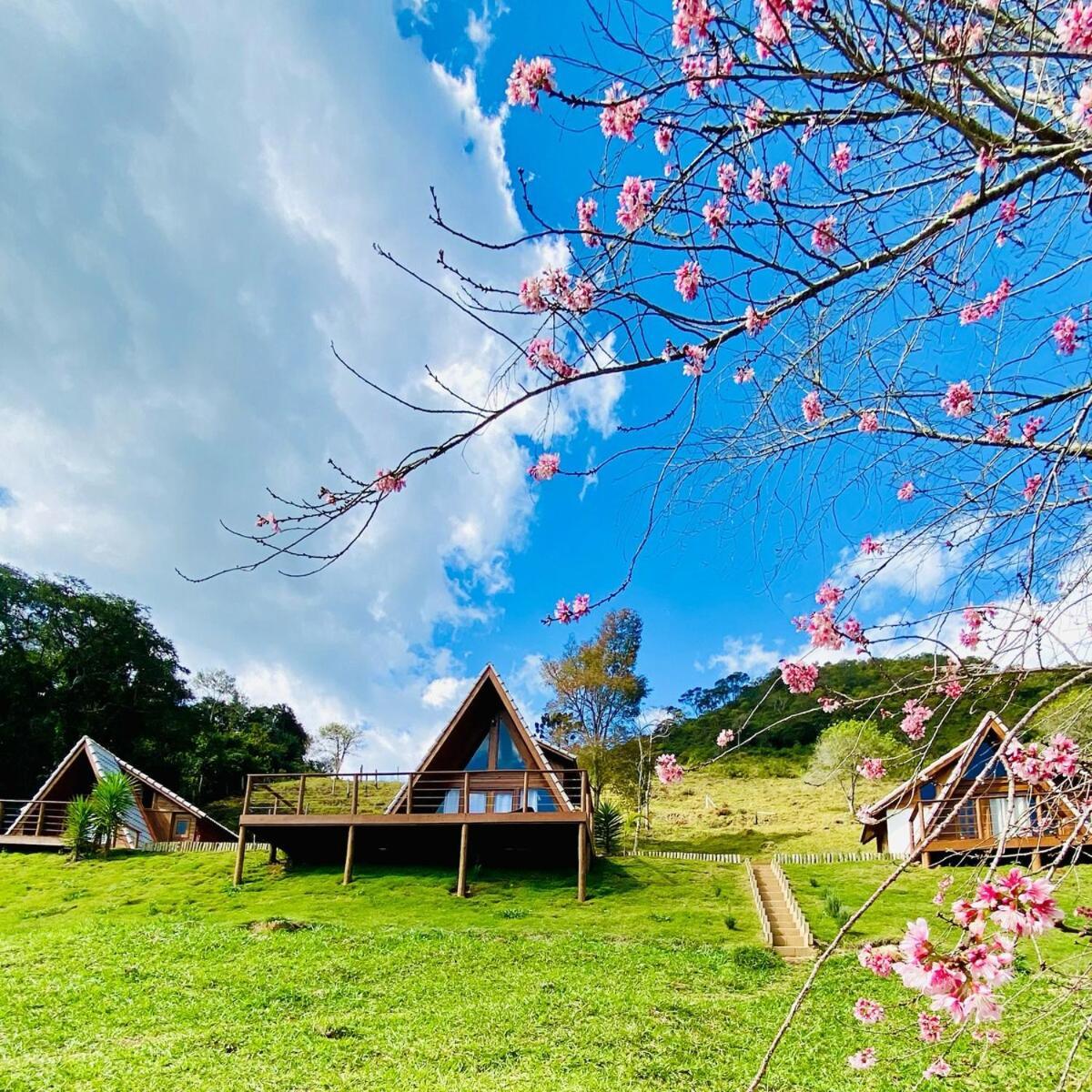 Chales Fazenda Floresta Das Araucarias 库尼亚 外观 照片